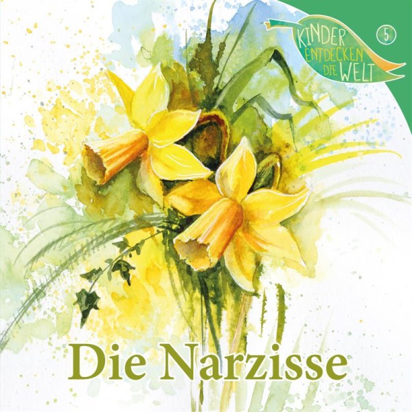 Die Narzisse